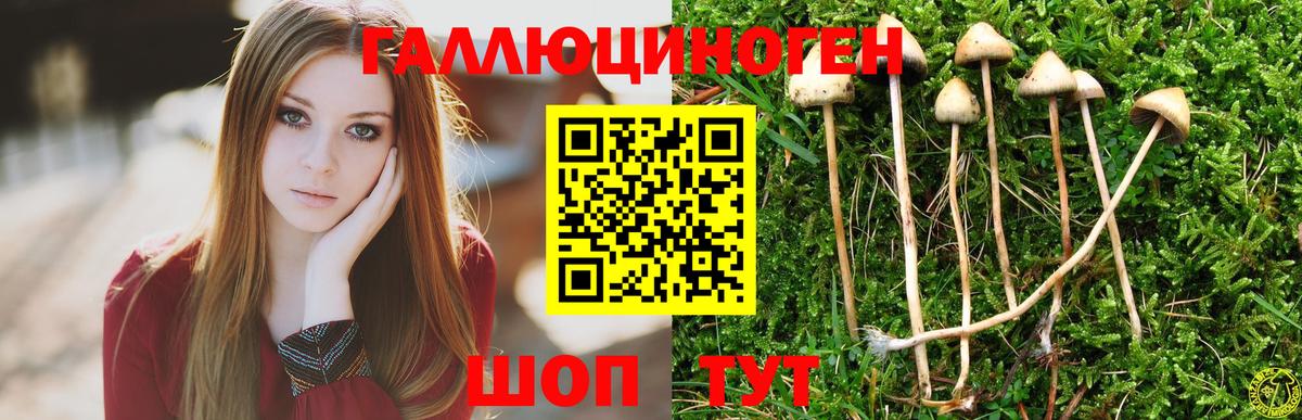 Джанкой  Галлюциногенные грибы мицелий  где купить наркоту  Вход с VPN 