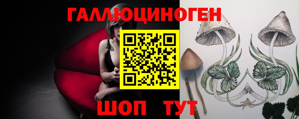 Галлюциногенные грибы Cubensis Джанкой